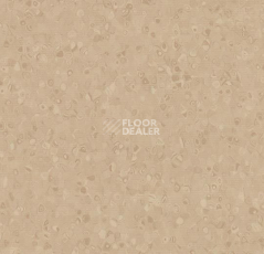 Линолеум Forbo Sphera Element 50024 stone фото 1 | FLOORDEALER